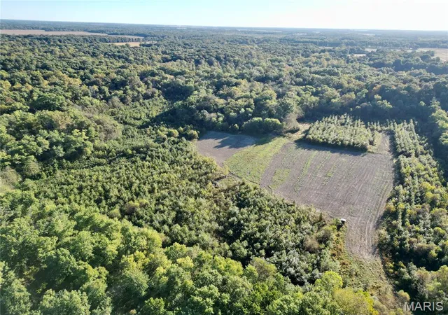 Photo 2 of Land for sale at 1 Landmark Rd, Iuka, IL 62849 | MLS# MIS26064205 | Listing updated on 2026-10-05