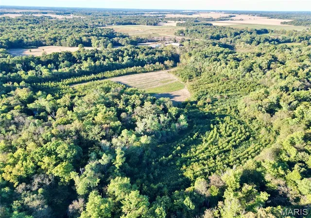 Photo 1 of Land for sale at 1 Landmark Rd, Iuka, IL 62849 | MLS# MIS26064205 | Listing updated on 2026-10-05