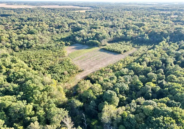 Photo 3 of Land for sale at 1 Landmark Rd, Iuka, IL 62849 | MLS# MIS26064205 | Listing updated on 2026-10-05