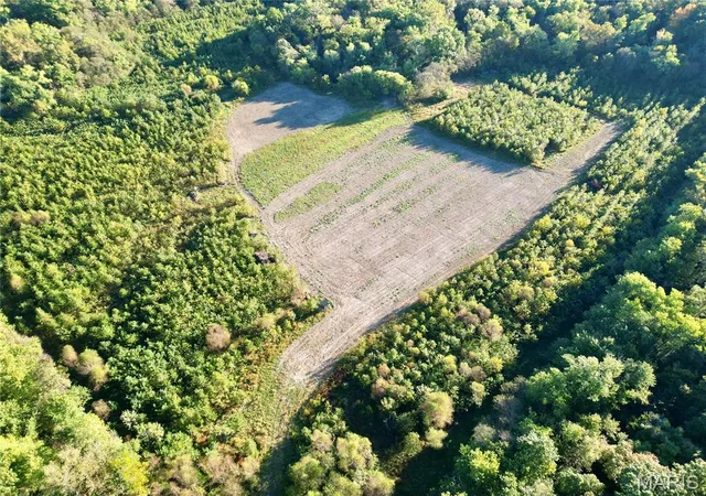 Photo 4 of Land for sale at 1 Landmark Rd, Iuka, IL 62849 | MLS# MIS26064205 | Listing updated on 2026-10-05