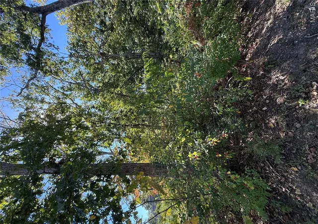 Photo 3 of Land for sale at 0 Walnut Ln, Foristell, MO 63348 | MLS# MIS26064211 | Listing updated on 2026-10-06