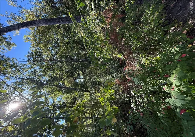 Photo 3 of Land for sale at 0 Walnut Ln, Foristell, MO 63348 | MLS# MIS26064211 | Listing updated on 2026-10-06