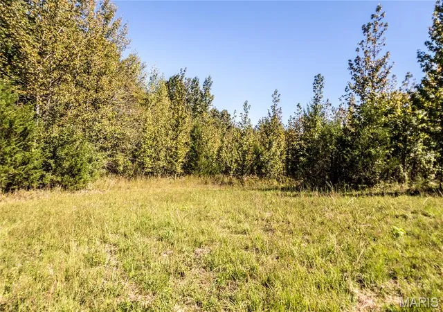 Photo 20 of Single family home for sale at 1089 County Rd 364, Harviell, MO 63945 | MLS# MIS26064245 | Listing updated on 2026-10-14