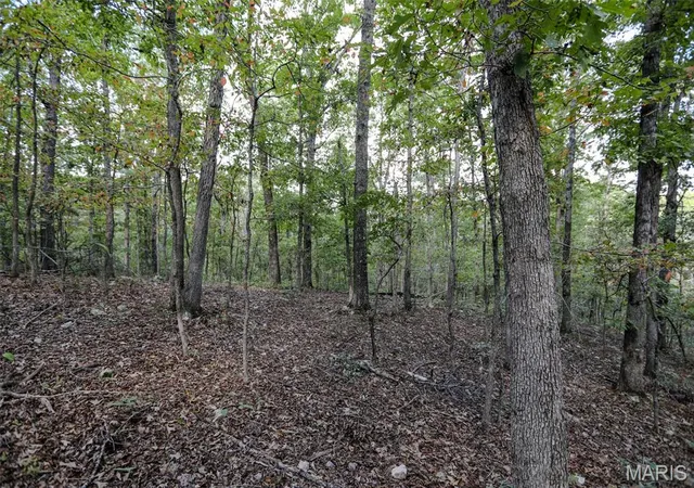 Land for sale at 0 County Rd 505, Greenville, MO 63944 | MLS# MIS26064249