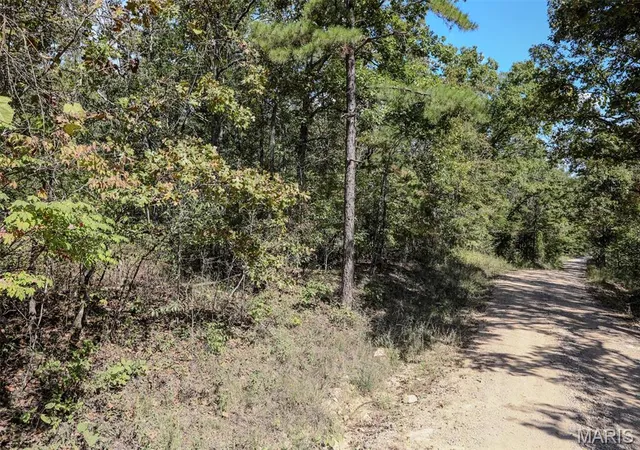 Photo 2 of Land for sale at 0 County Rd 505, Greenville, MO 63944 | MLS# MIS26064249 | Listing updated on 2026-10-06