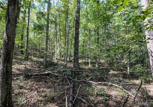 Photo 3 of Land for sale at 0 County Rd 505, Greenville, MO 63944 | MLS# MIS26064249 | Listing updated on 2026-10-06