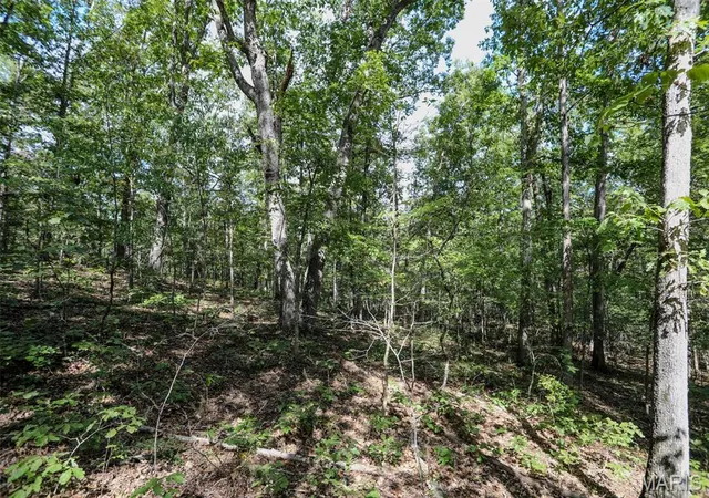 Photo 3 of Land for sale at 0 County Rd 505, Greenville, MO 63944 | MLS# MIS26064249 | Listing updated on 2026-10-06