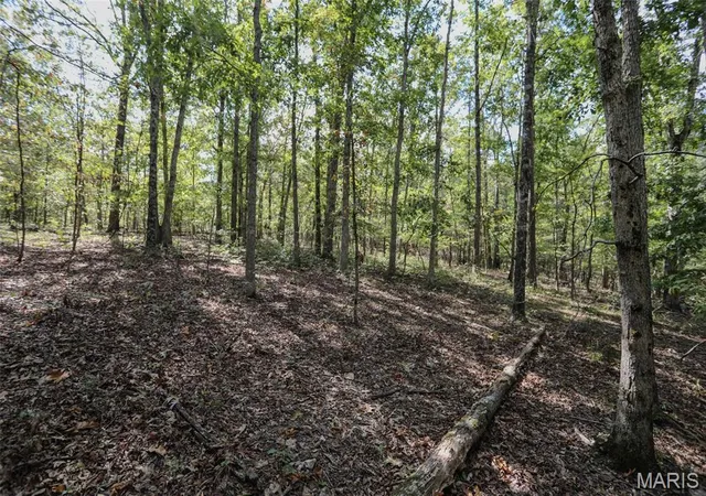 Photo 4 of Land for sale at 0 County Rd 505, Greenville, MO 63944 | MLS# MIS26064249 | Listing updated on 2026-10-06