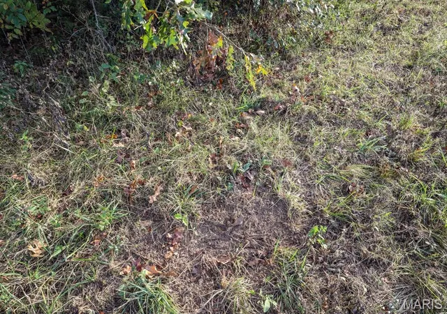 Photo 59 of Sale Pending at Wp 001 County Rd 437, Fulton, MO 65251 | MLS# MIS26064359 | Listing updated on 2026-10-15