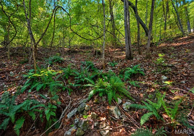 Photo 1 of Land for sale at 2266 Gravois Rd, Saint Clair, MO 63077 | MLS# MIS26064369 | Listing updated on 2026-10-08