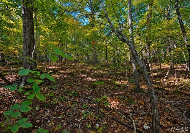 Photo 2 of Land for sale at 2266 Gravois Rd, Saint Clair, MO 63077 | MLS# MIS26064369 | Listing updated on 2026-10-08