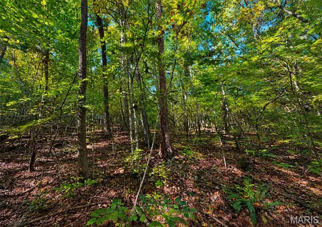 Photo 3 of Land for sale at 2266 Gravois Rd, Saint Clair, MO 63077 | MLS# MIS26064369 | Listing updated on 2026-10-08