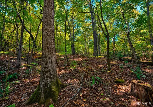 Photo 3 of Land for sale at 2266 Gravois Rd, Saint Clair, MO 63077 | MLS# MIS26064369 | Listing updated on 2026-10-08