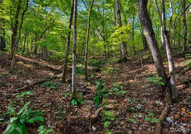 Photo 4 of Land for sale at 2266 Gravois Rd, Saint Clair, MO 63077 | MLS# MIS26064369 | Listing updated on 2026-10-08