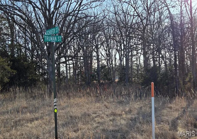 Photo 2 of Land for sale at 0 Schofer St, Newburg, MO 65550 | MLS# MIS26064473 | Listing updated on 2026-10-06