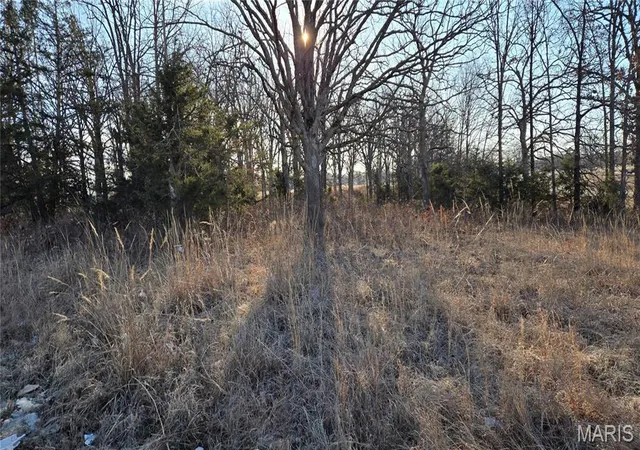 Photo 3 of Land for sale at 0 Schofer St, Newburg, MO 65550 | MLS# MIS26064473 | Listing updated on 2026-10-06