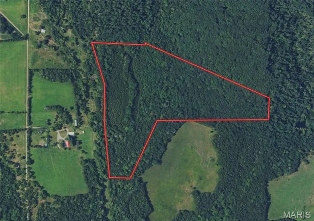 Land for sale at 10272 Old Black River Rd, Potosi, MO 63664 | MLS# MIS26064492