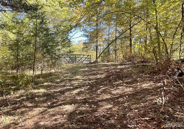 Photo 3 of Land for sale at 10272 Old Black River Rd, Potosi, MO 63664 | MLS# MIS26064492 | Listing updated on 2026-10-09