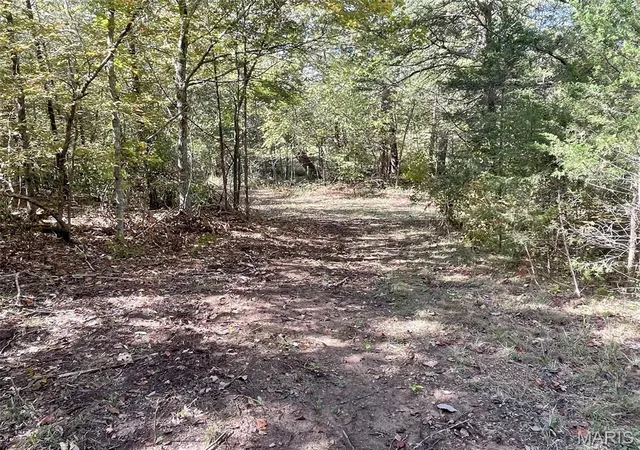 Photo 3 of Land for sale at 10272 Old Black River Rd, Potosi, MO 63664 | MLS# MIS26064492 | Listing updated on 2026-10-09