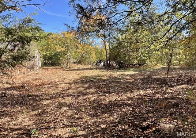 Photo 4 of Land for sale at 10272 Old Black River Rd, Potosi, MO 63664 | MLS# MIS26064492 | Listing updated on 2026-10-09