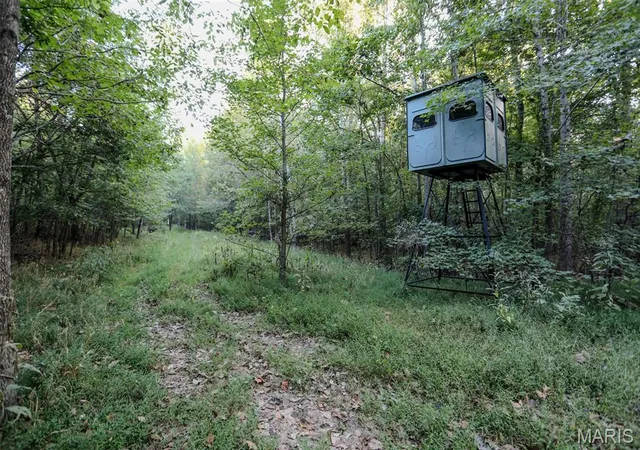 Photo 3 of Land for sale at 0 Tanglewood, Poplar Bluff, MO 63901 | MLS# MIS26064727 | Listing updated on 2026-10-07