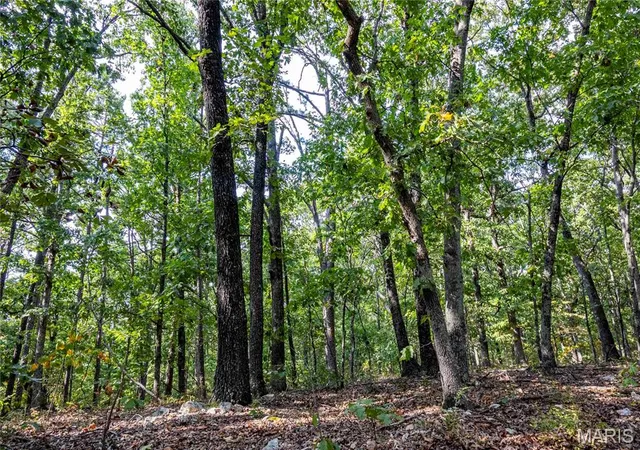 Photo 3 of Land for sale at 00 Baha Dr, Sullivan, MO 63080 | MLS# MIS26064908 | Listing updated on 2026-10-09