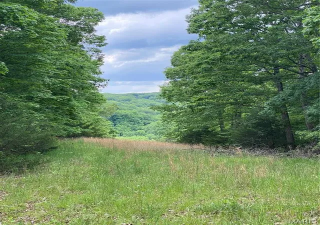 Land for sale at 14 +/- Ac Steeple Rock Dr, Defiance, MO 63341 | MLS# MIS26064976
