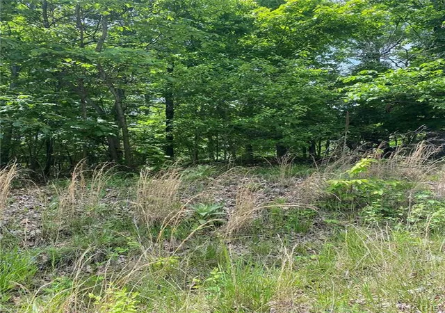 Photo 2 of Land for sale at 14 +/- Ac Steeple Rock Dr, Defiance, MO 63341 | MLS# MIS26064976 | Listing updated on 2026-10-08