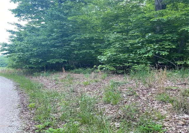 Photo 3 of Land for sale at 14 +/- Ac Steeple Rock Dr, Defiance, MO 63341 | MLS# MIS26064976 | Listing updated on 2026-10-08