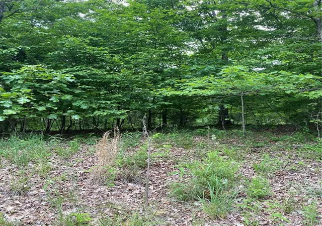 Photo 4 of Land for sale at 14 +/- Ac Steeple Rock Dr, Defiance, MO 63341 | MLS# MIS26064976 | Listing updated on 2026-10-08