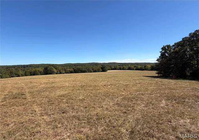 Land for sale at 0 State Hwy P, Potosi, MO 63664 | MLS# MIS26064999
