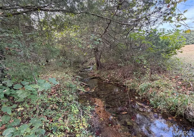 Photo 2 of Land for sale at 0 State Hwy P, Potosi, MO 63664 | MLS# MIS26064999 | Listing updated on 2026-10-08