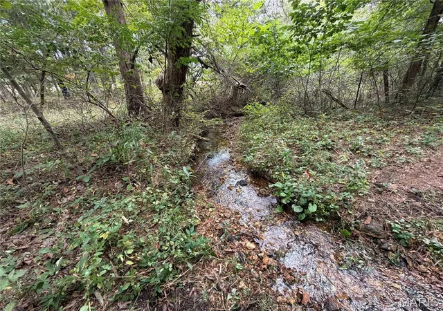Photo 3 of Land for sale at 0 State Hwy P, Potosi, MO 63664 | MLS# MIS26064999 | Listing updated on 2026-10-08