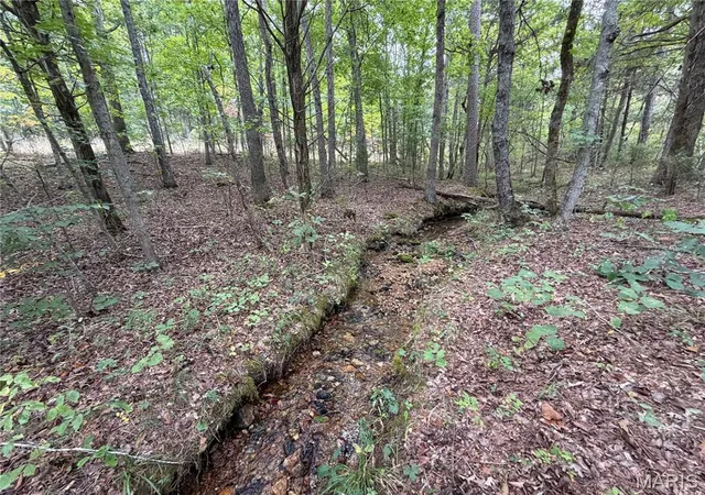 Photo 3 of Land for sale at 0 State Hwy P, Potosi, MO 63664 | MLS# MIS26064999 | Listing updated on 2026-10-08