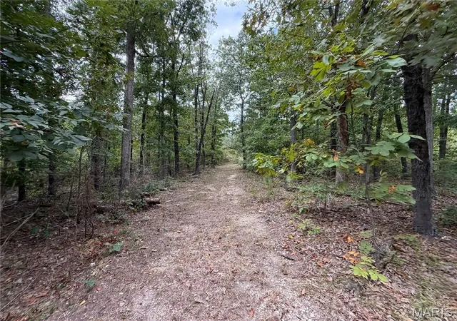 Photo 4 of Land for sale at 0 State Hwy P, Potosi, MO 63664 | MLS# MIS26064999 | Listing updated on 2026-10-08
