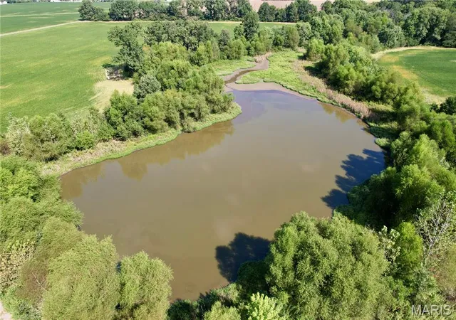 Photo 3 of Land for sale at 1305 Bethel Rd, Odin, IL 62870 | MLS# MIS26065098 | Listing updated on 2026-10-09