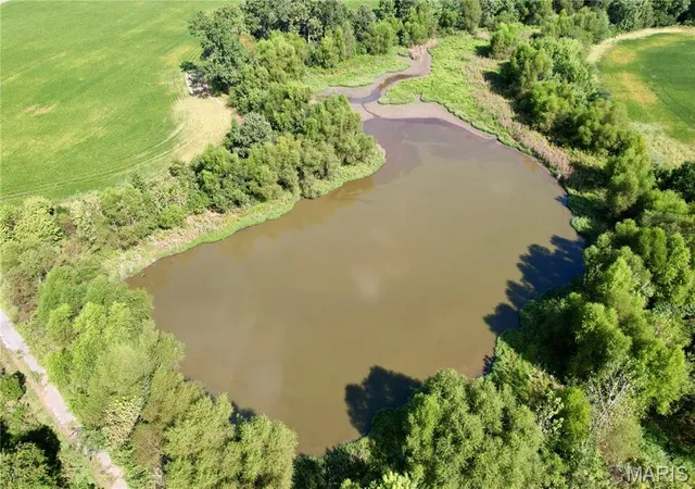 Photo 4 of Land for sale at 1305 Bethel Rd, Odin, IL 62870 | MLS# MIS26065098 | Listing updated on 2026-10-09