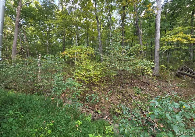 Photo 3 of Land for sale at 17250 Boyd, Sainte Genevieve, MO 63670 | MLS# MIS26065108 | Listing updated on 2026-10-09