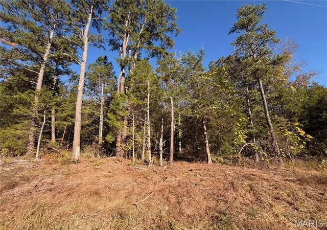 Photo 1 of Land for sale at Lot A Hwy 32, Sainte Genevieve, MO 63670 | MLS# MIS26065266 | Listing updated on 2026-10-11
