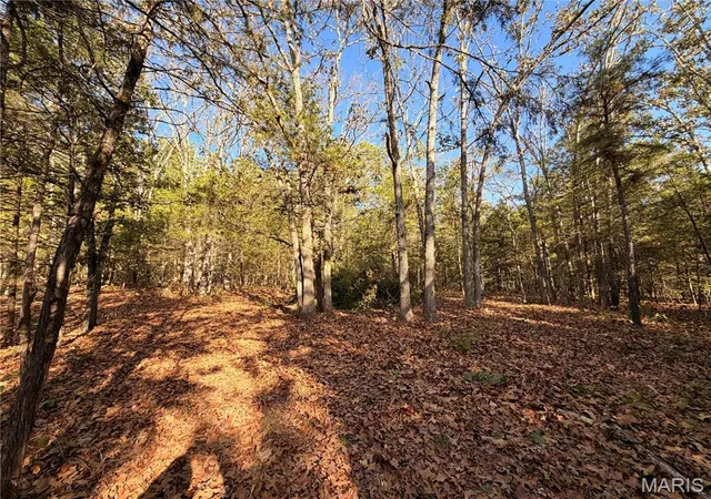 Photo 1 of Land for sale at Lot A Hwy 32, Sainte Genevieve, MO 63670 | MLS# MIS26065266 | Listing updated on 2026-10-11