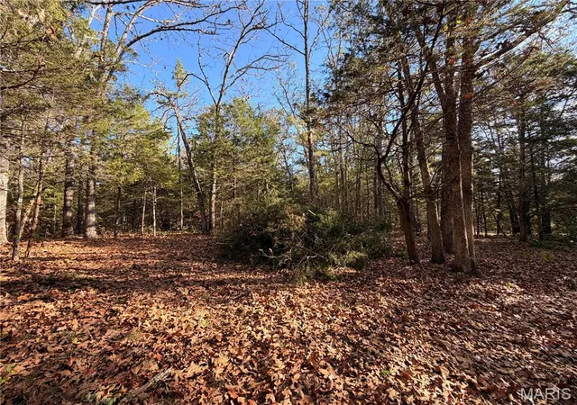 Photo 3 of Land for sale at Lot A Hwy 32, Sainte Genevieve, MO 63670 | MLS# MIS26065266 | Listing updated on 2026-10-11