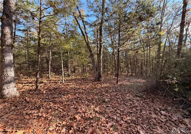 Photo 4 of Land for sale at Lot A Hwy 32, Sainte Genevieve, MO 63670 | MLS# MIS26065266 | Listing updated on 2026-10-11
