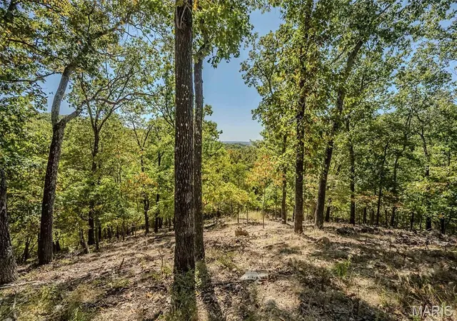 Photo 3 of Single family home for sale at 1302 Bear Cyn Rd, Wildwood, MO 63021 | MLS# MIS26065329 | Listing updated on 2026-10-10