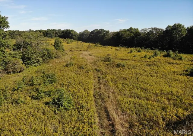 Photo 3 of Sale Pending at 0 Vermundy, Kinmundy, IL 62854 | MLS# MIS26065394 | Listing updated on 2026-10-16