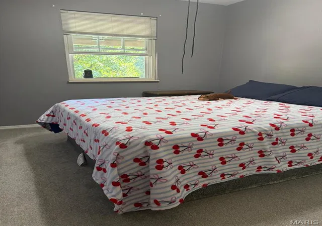 Photo 3 of Condo for sale at (Undisclosed), Florissant, MO 63033 | MLS# MIS26065435 | Listing updated on 2026-10-18