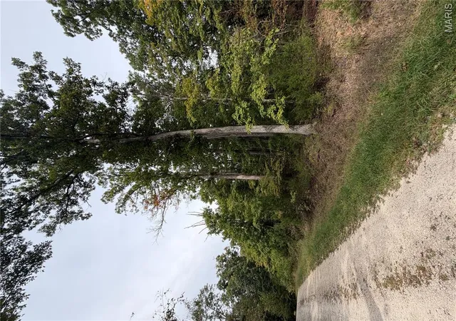 Photo 3 of Land for sale at 0 Allen Rd, Hillsboro, MO 63050 | MLS# MIS26065457 | Listing updated on 2026-10-12