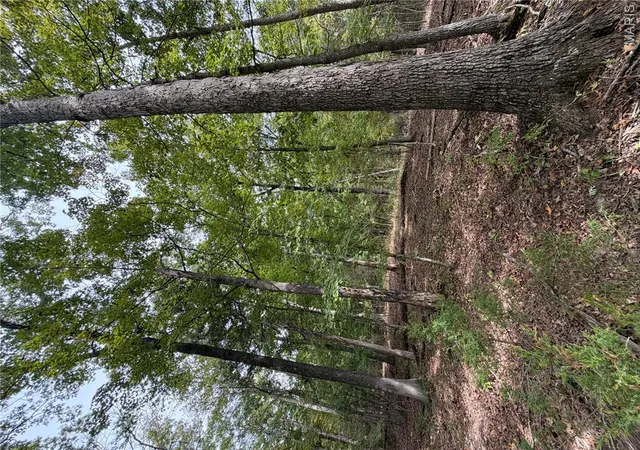 Photo 4 of Land for sale at 0 Allen Rd, Hillsboro, MO 63050 | MLS# MIS26065457 | Listing updated on 2026-10-12