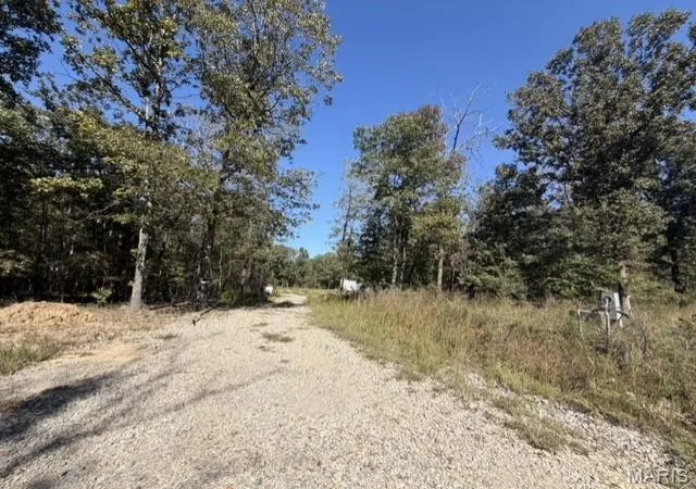 Land for sale at 0 Lot 5 Southern Hills, Fairdealing, MO 63935 | MLS# MIS26065497