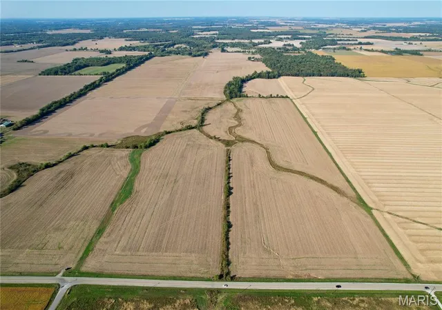 Photo 2 of Land for sale at 000 State Route 161 Ext, Kell, IL 62853 | MLS# MIS26065510 | Listing updated on 2026-10-12