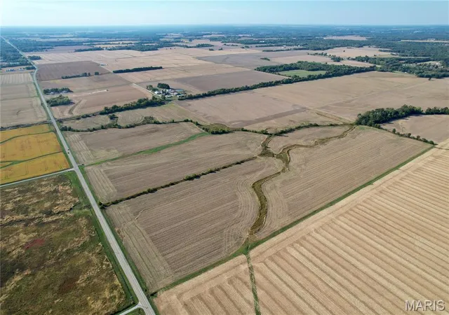 Photo 3 of Land for sale at 000 State Route 161 Ext, Kell, IL 62853 | MLS# MIS26065510 | Listing updated on 2026-10-12